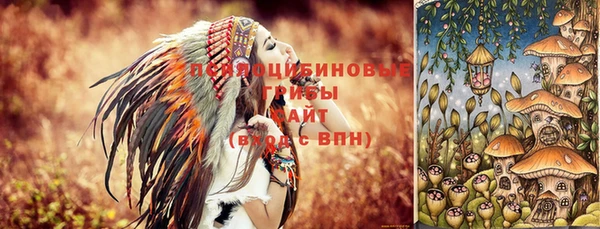 прущая мука Лиски