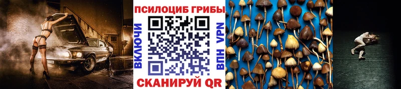 купить наркотик  Опочка  Галлюциногенные грибы Psilocybine cubensis 